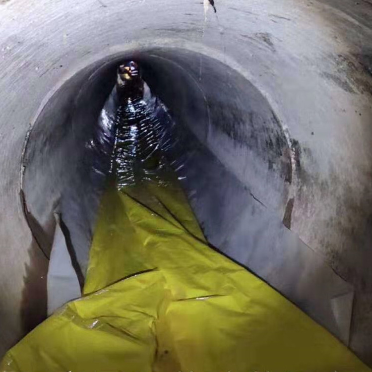 月湖管道光固化修复